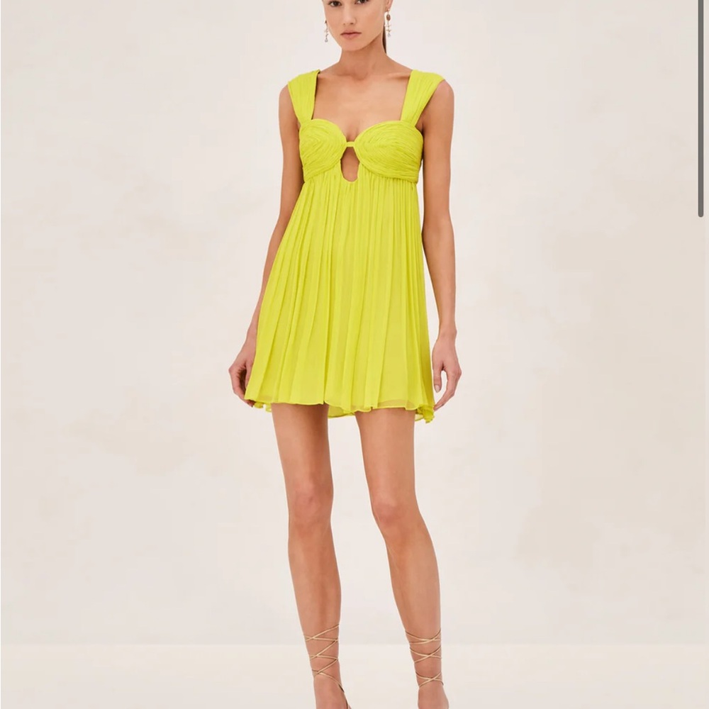 NEW NEVER WORN Alexis Silk Dress